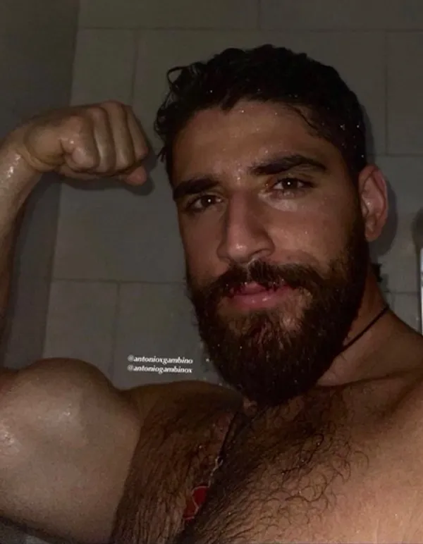 Antonio Gambino's BabeWiki Profile