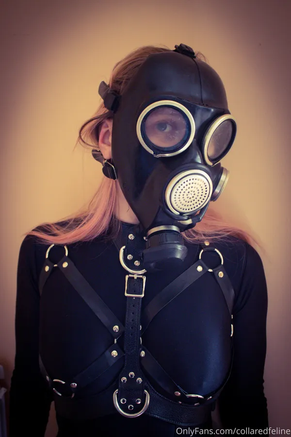 collaredfeline's BabeWiki Profile