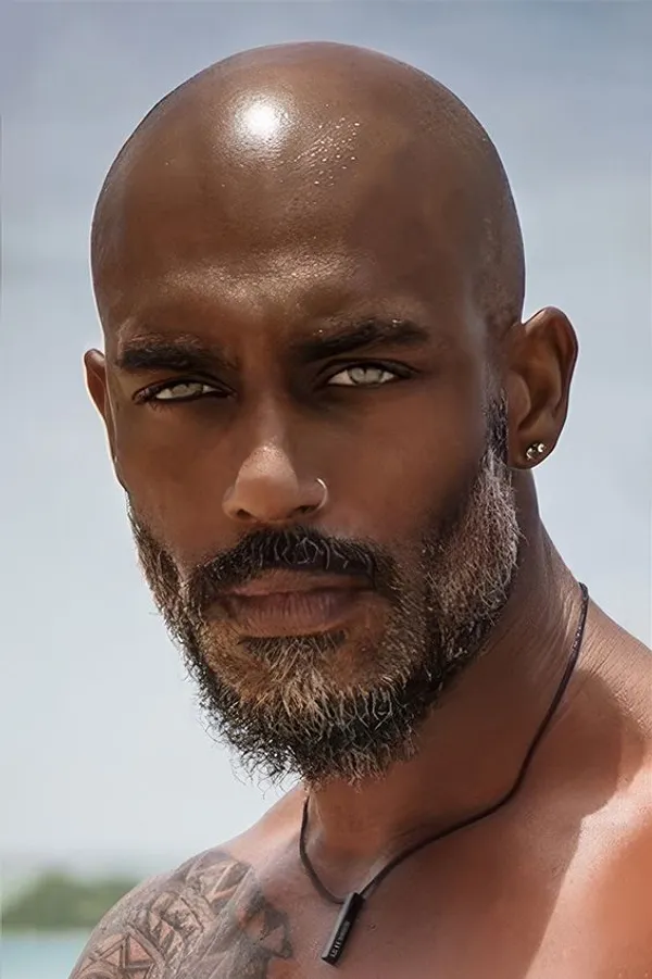 Don Diggler's BabeWiki Profile