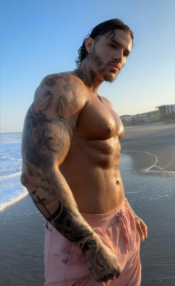 Gemini Jay's photo 3