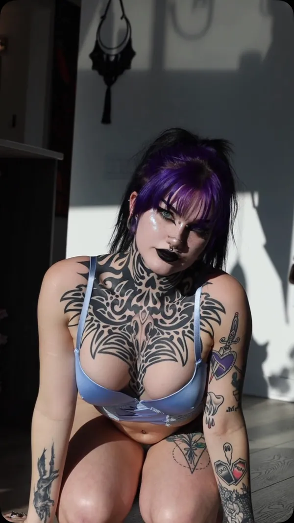 Lavender Daydream's photo 4