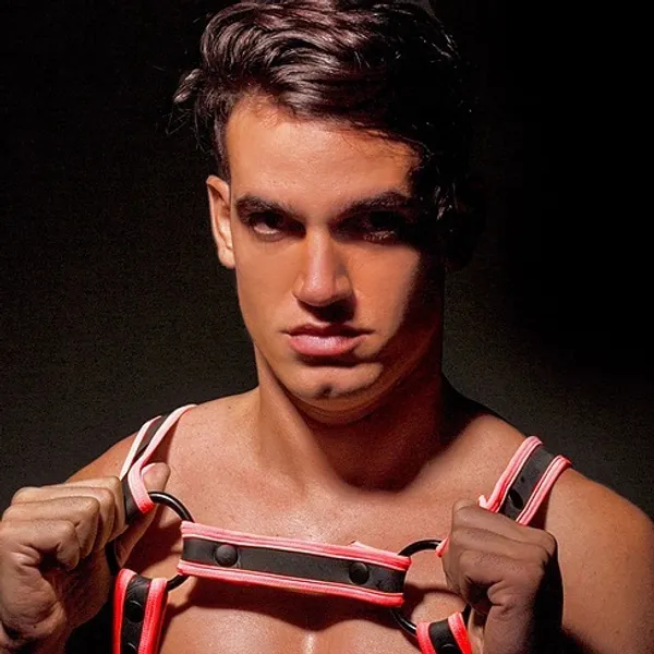 Luke Taylor's BabeWiki Profile