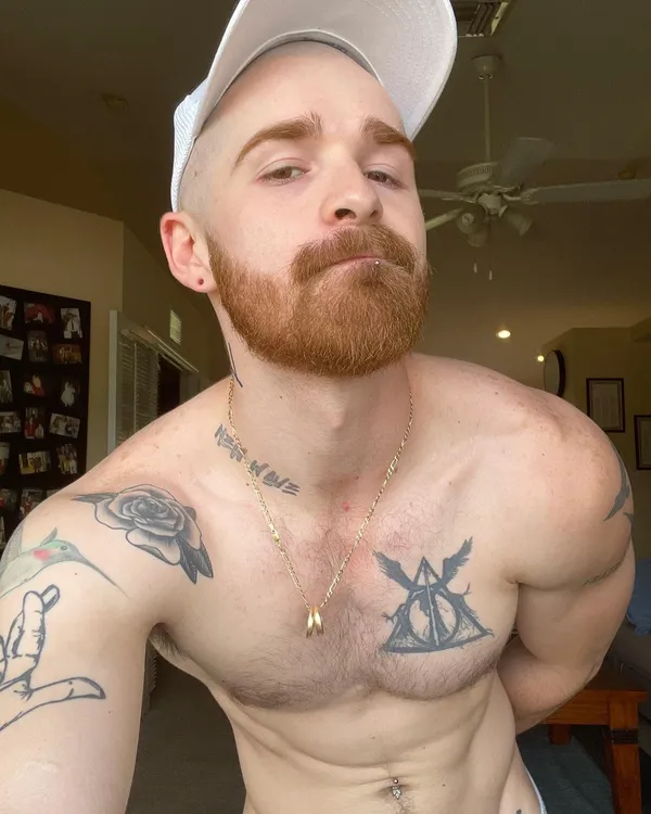 Nick Milani's photo 5