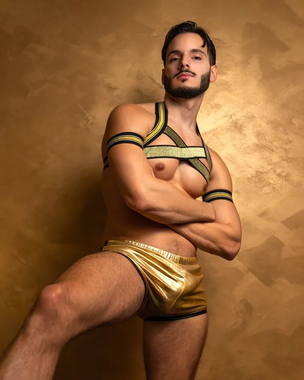 Stallion Fabio's BabeWiki Profile