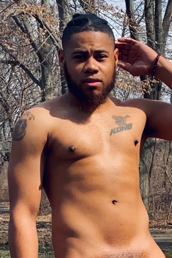 The Artemis XXX's photo 3