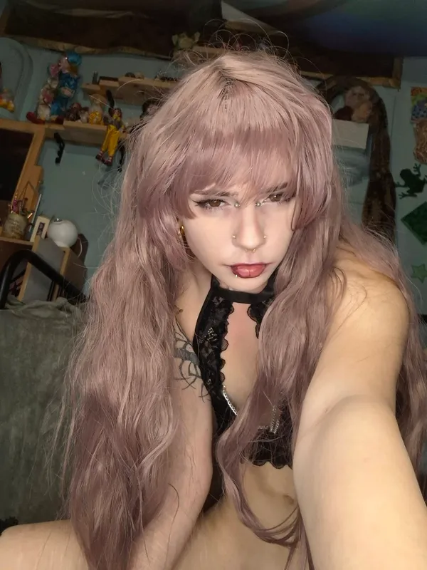 The Last Braincell's photo 5