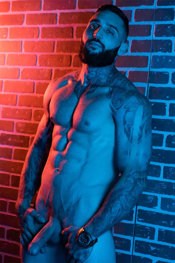 Tony D'Angelo's photo 5