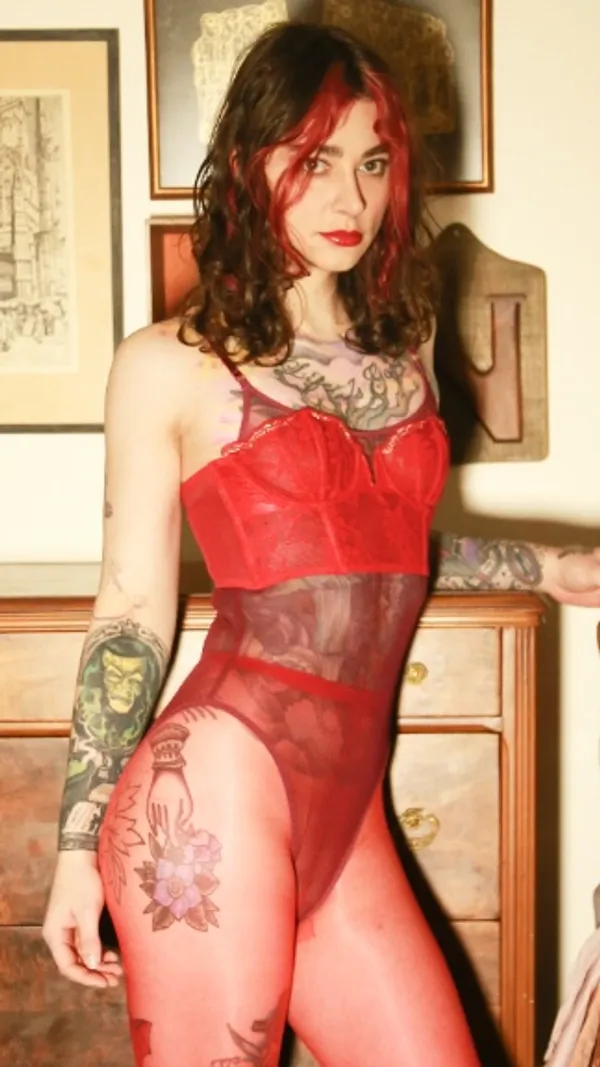 Wicked Wren's photo 3