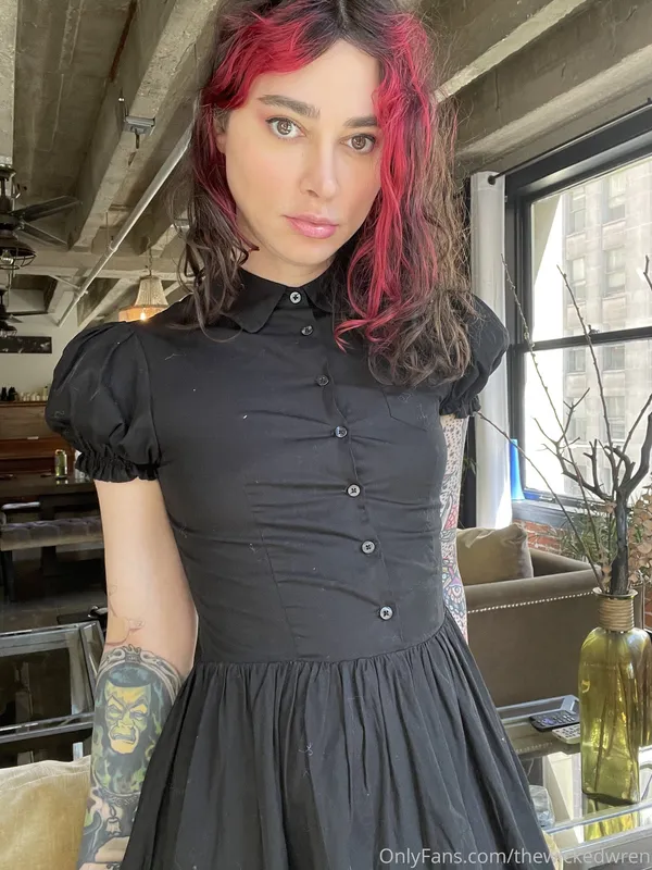 Wicked Wren's photo 5