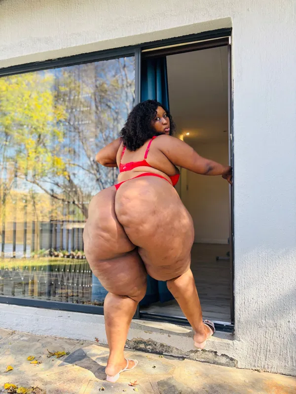 Zama The Butt's photo 2